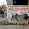 India, march 2023