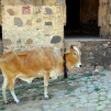India, march 2023