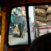 India, march 2023