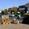 India, march 2023