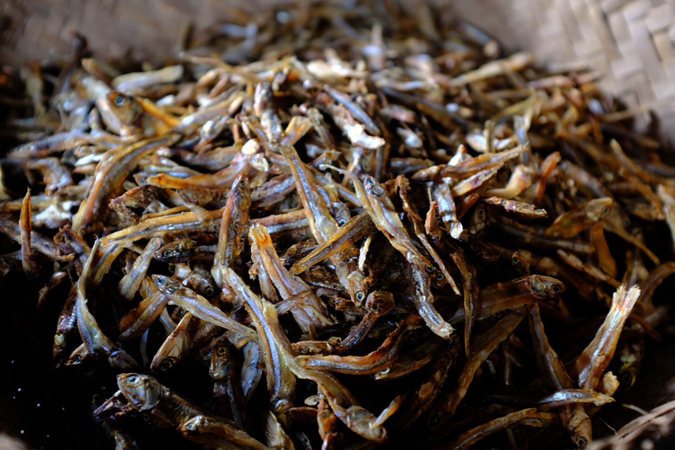 Indonesia, november 2023