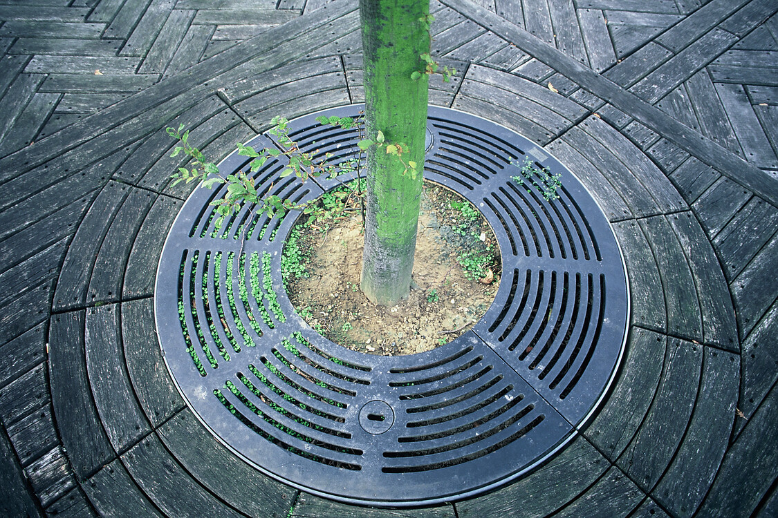 La D&eacute;fense (first encounter), 15/08/2011