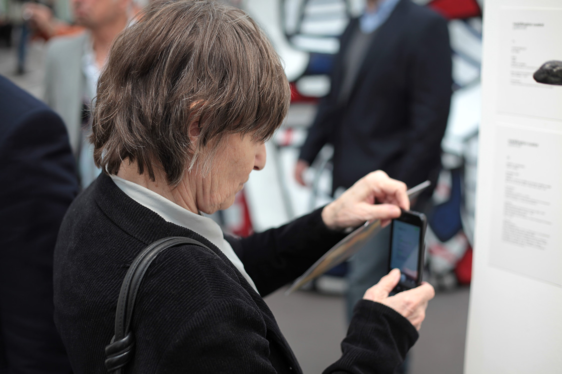 FIAC 2013