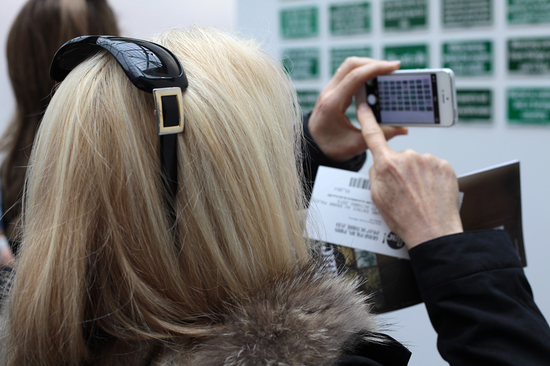 FIAC 2013