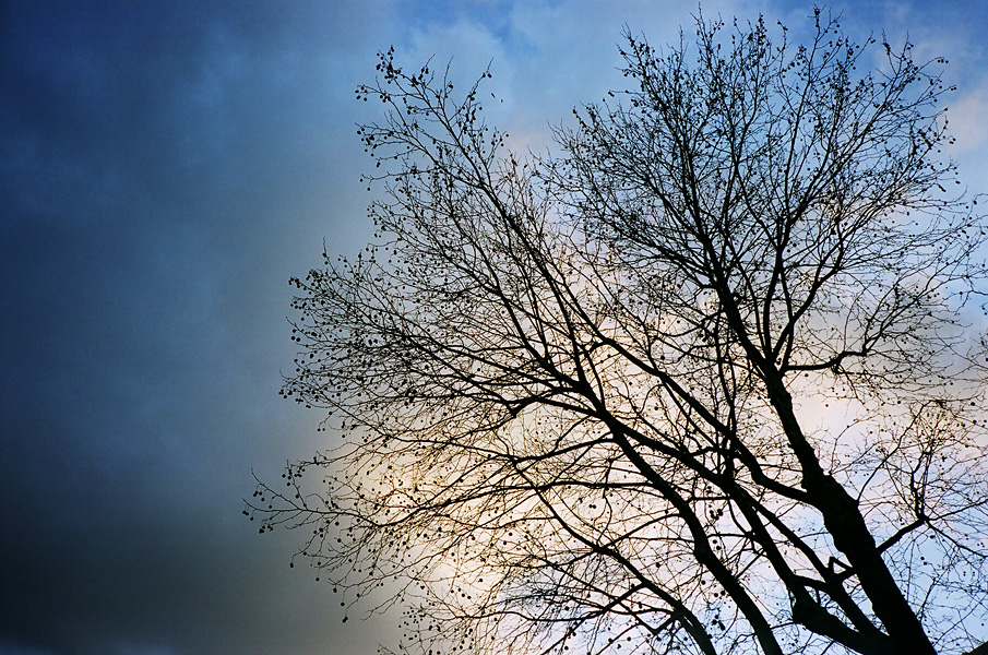 Winters