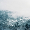 Winters
