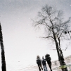 Winters