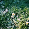 Winters