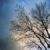 Winters