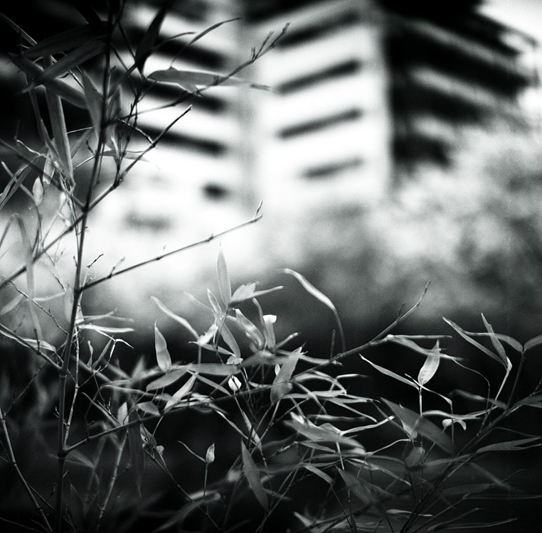 Black & white