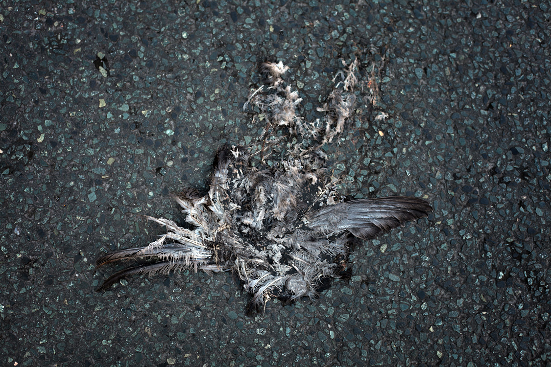 Crash