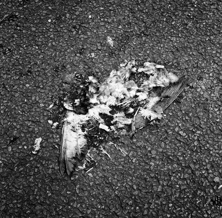 Crash