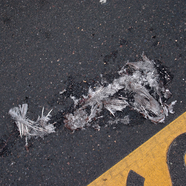 Crash