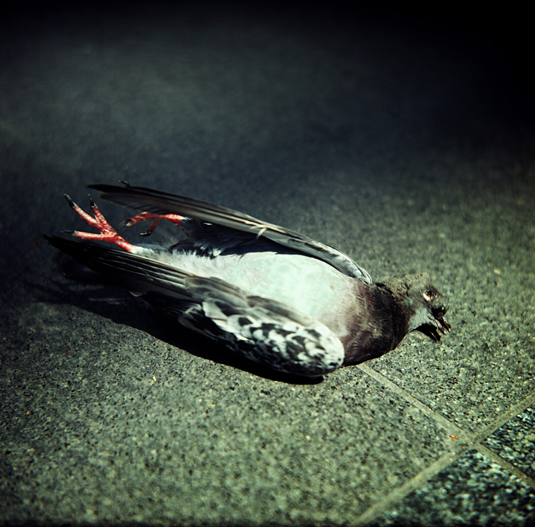 What's left of our world