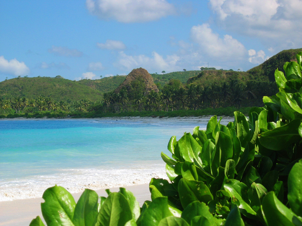 Java-Bali, 2004