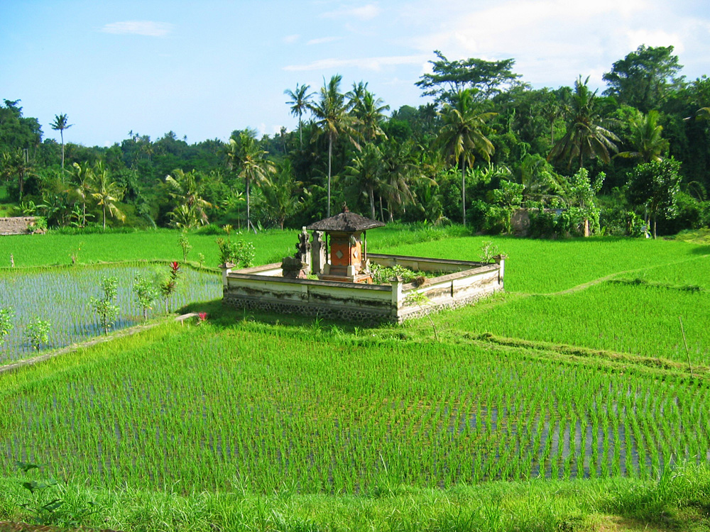 Java-Bali, 2004