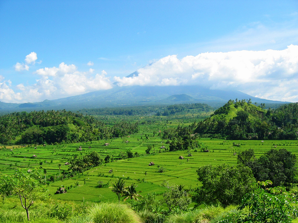 Java-Bali, 2004