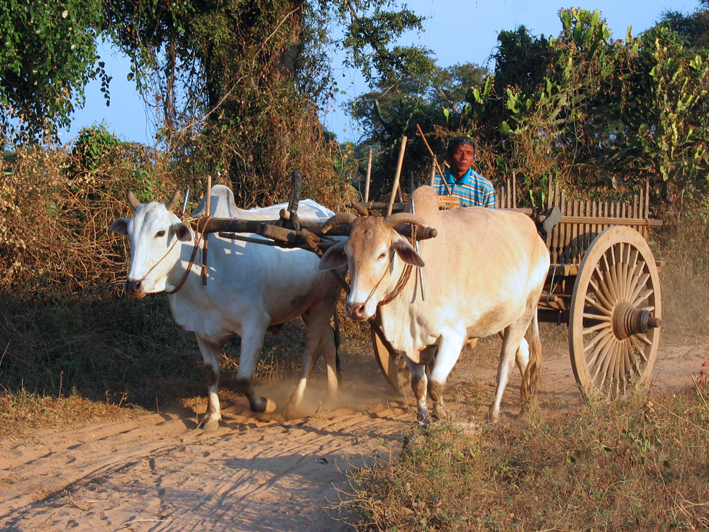 Bagan