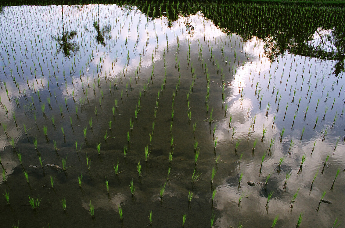 Indonesia, 2006
