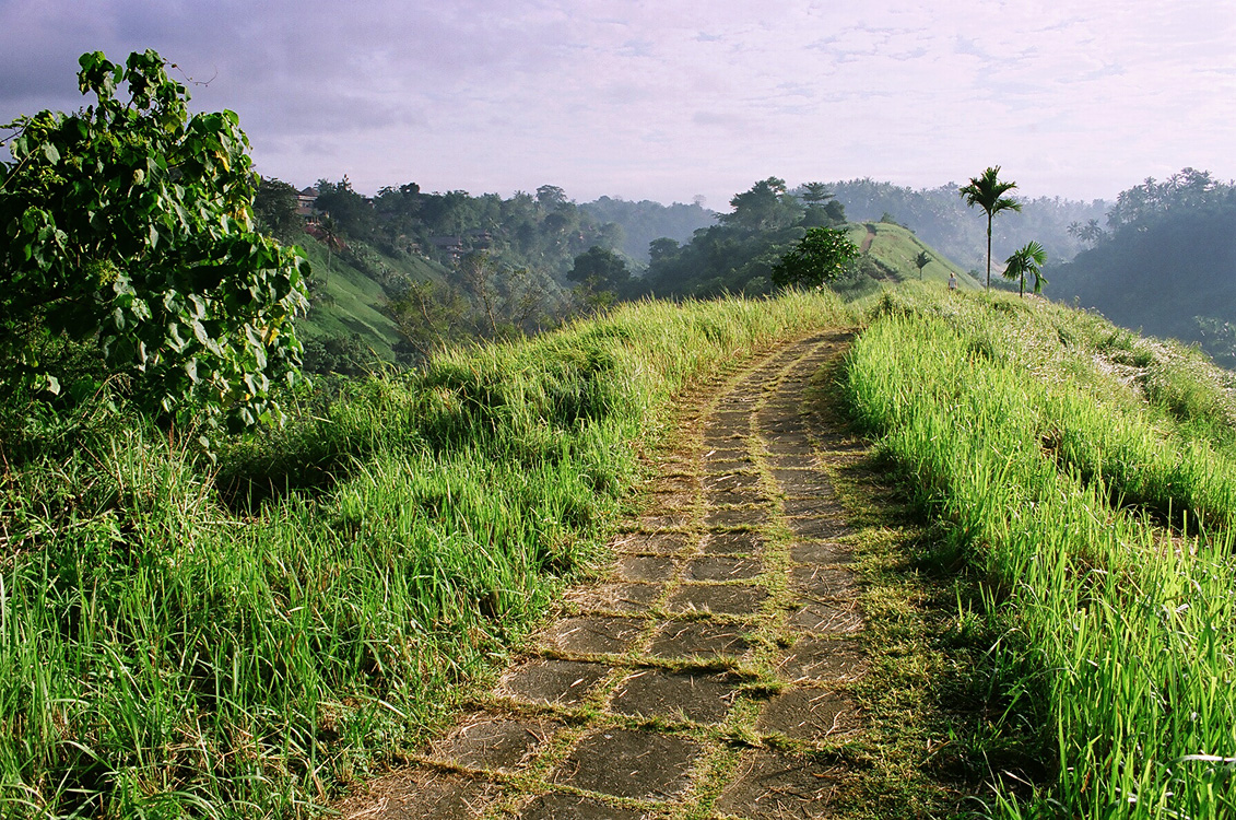 Indonesia, 2006