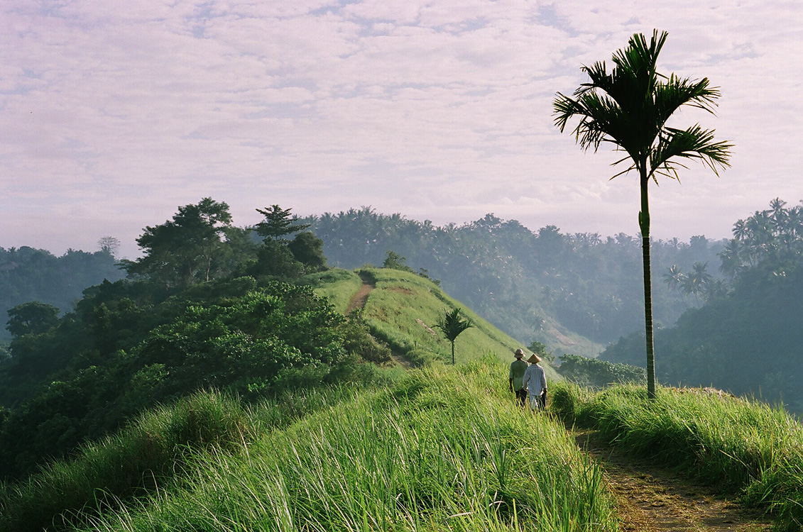 Indonesia, 2006
