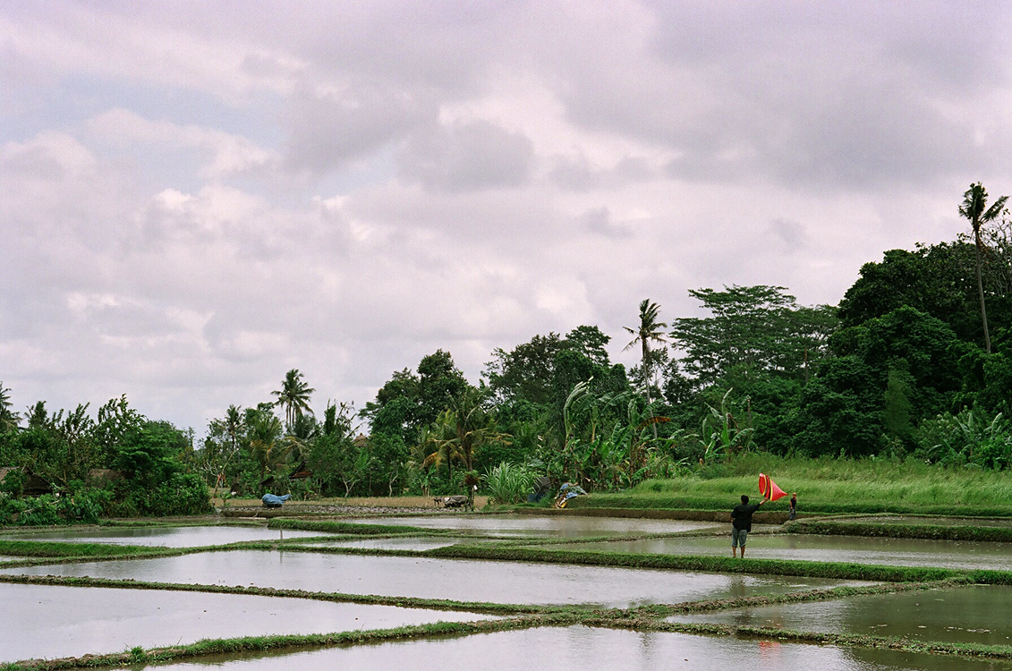Indonesia, 2006