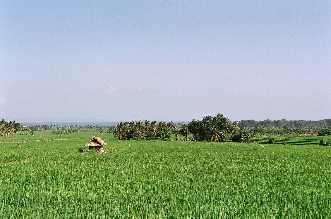 Indonesia, 2006