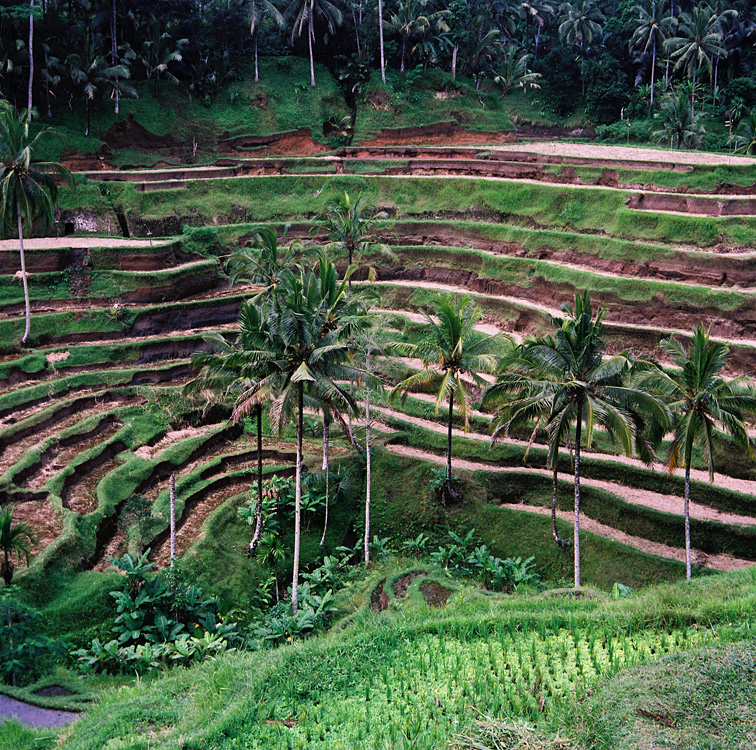 Indonesia, 2006