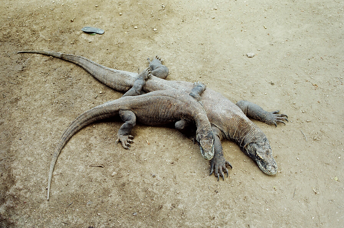 Indonesia, 2007