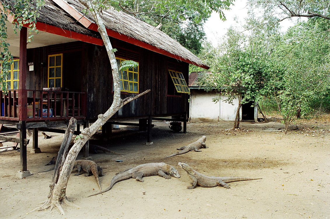 Indonesia, 2007