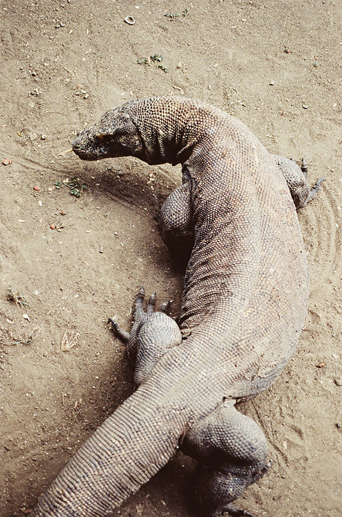 Indonesia, 2007