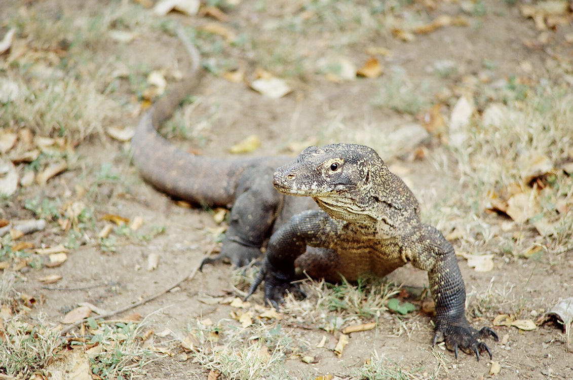 Indonesia, 2007