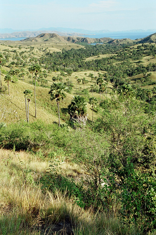 Indonesia, 2007