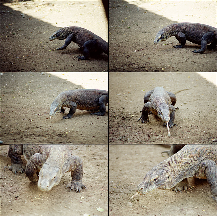 Indonesia, 2007