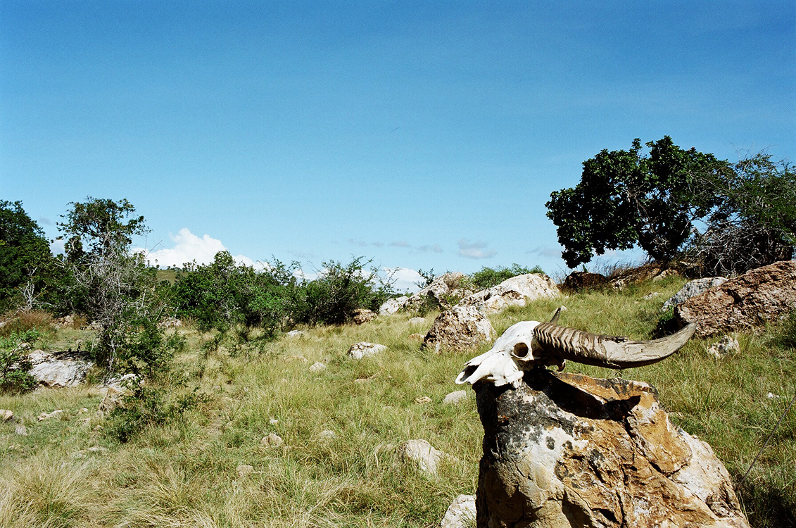 Indonesia, 2007