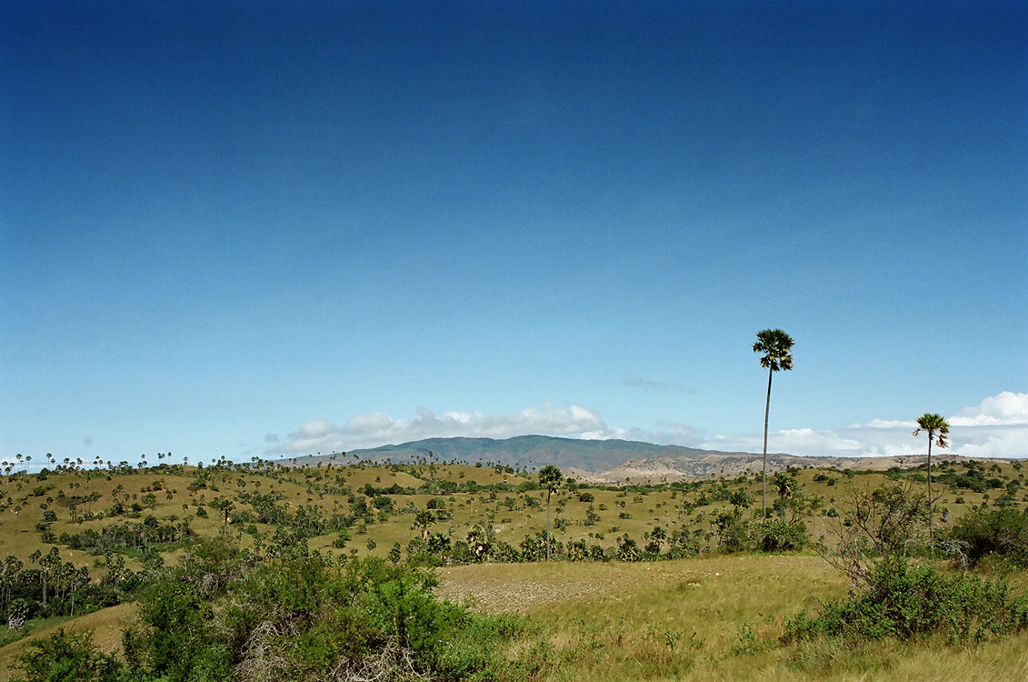 Indonesia, 2007