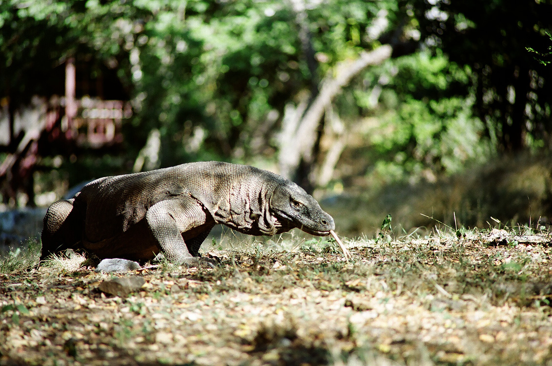 Indonesia, 2007