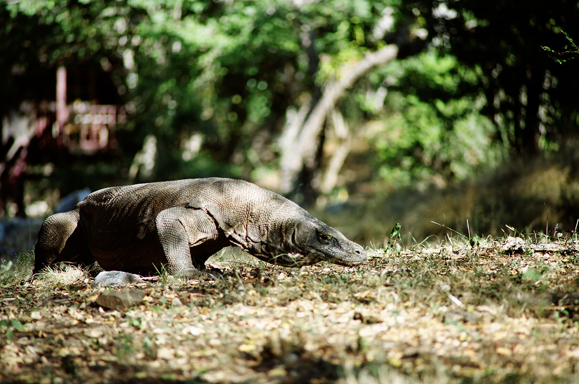 Indonesia, 2007