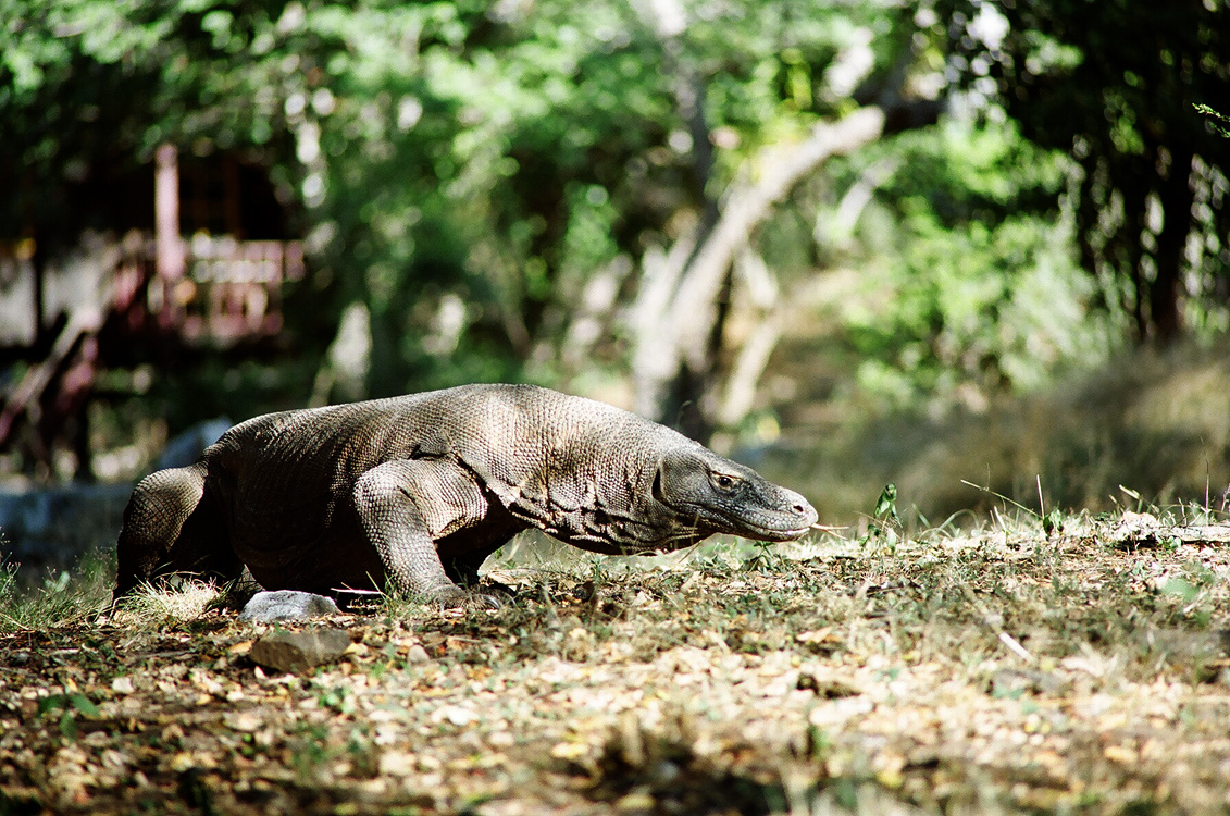 Indonesia, 2007