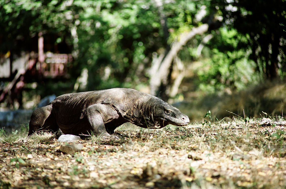 Indonesia, 2007