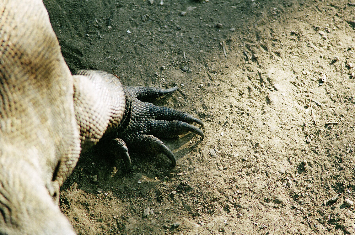 Indonesia, 2007