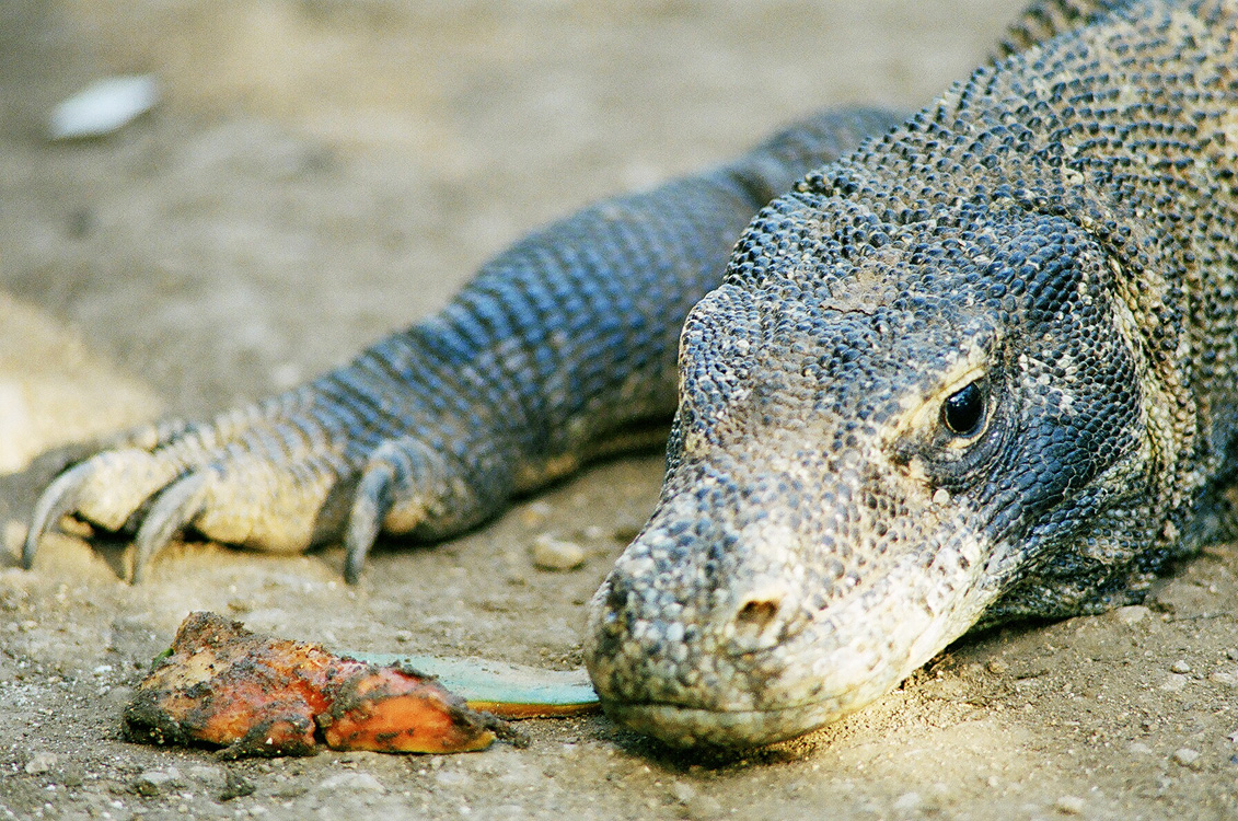 Indonesia, 2007