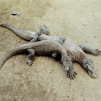 Indonesia, 2007