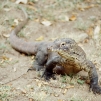 Indonesia, 2007