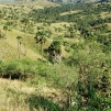 Indonesia, 2007