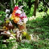 Indonesia, 2007