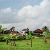 Indonesia, 2007