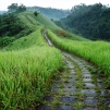 Indonesia, 2007