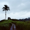 Indonesia, 2007