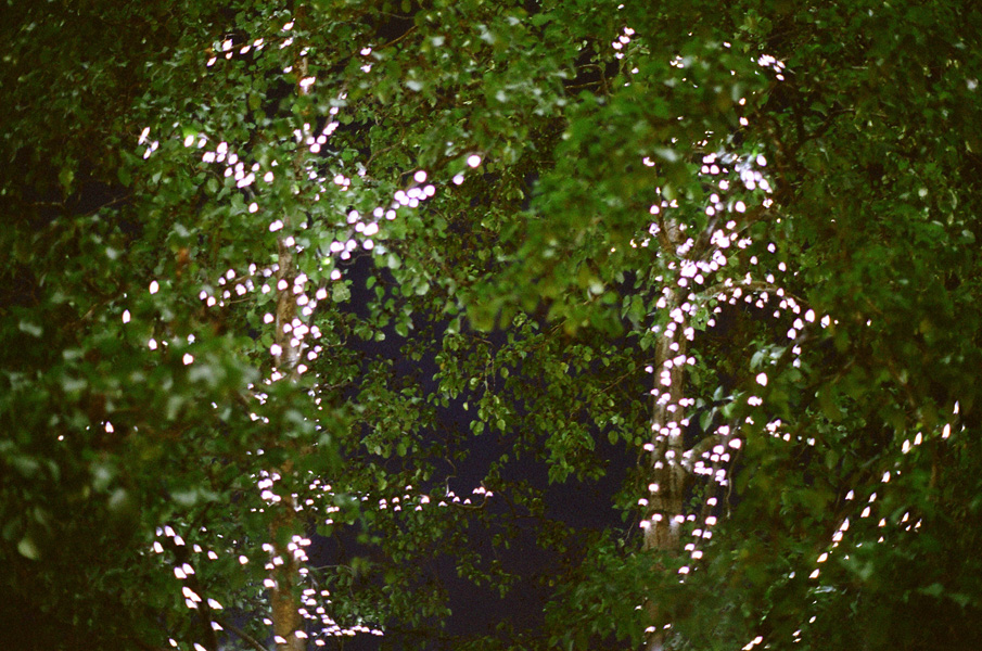 London, June 2009